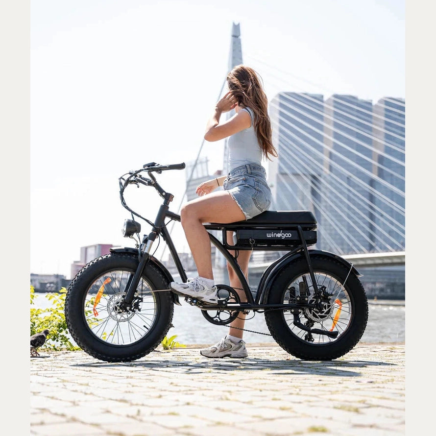 Windgoo F5 Fatbike Zwart 15Ah 250W met app