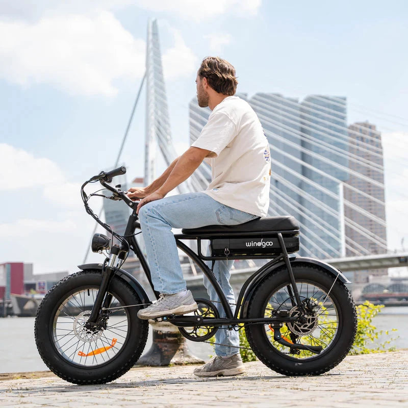 Windgoo F5 Fatbike Zwart 15Ah 250W met app