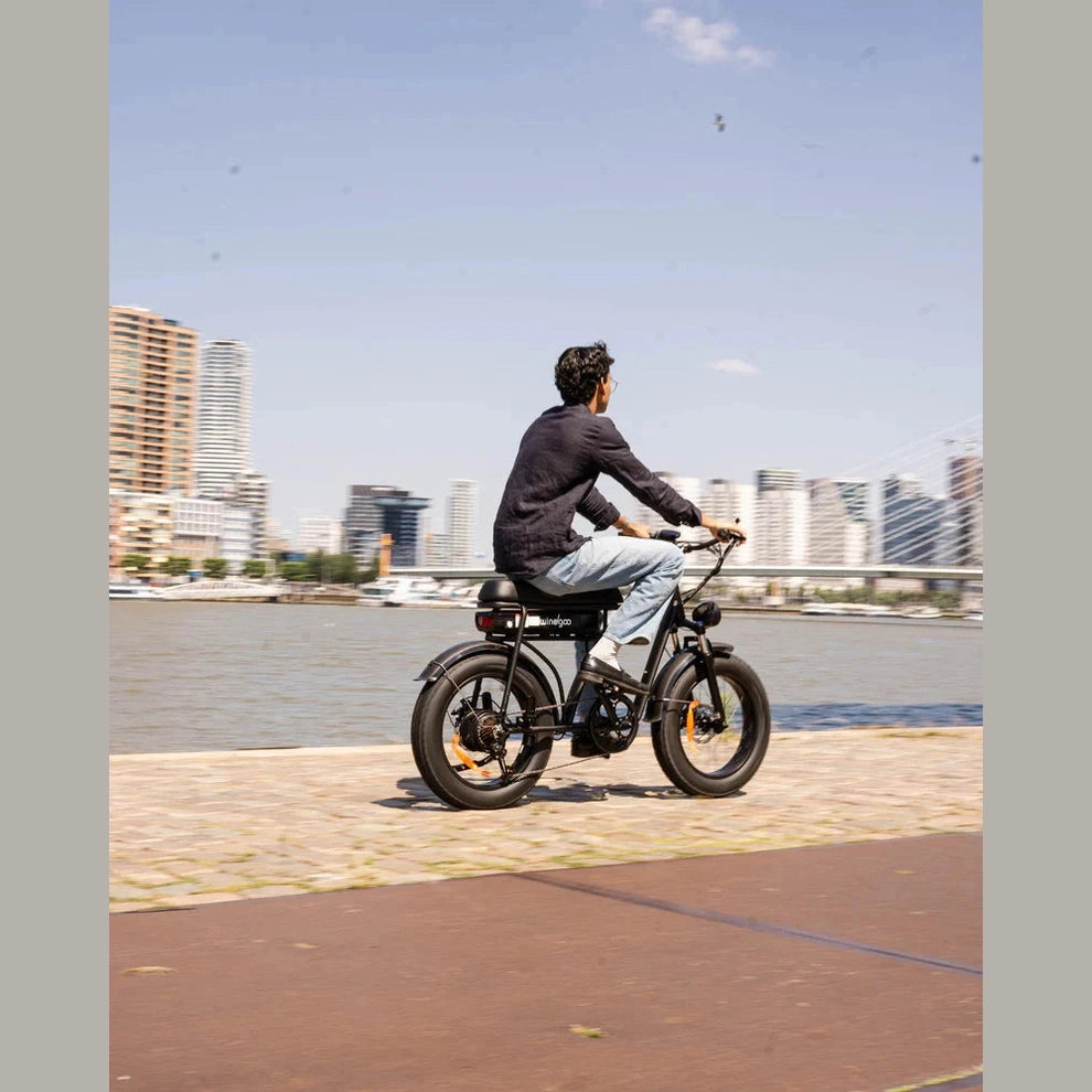 Windgoo F5 Fatbike Zwart 15Ah 250W met app