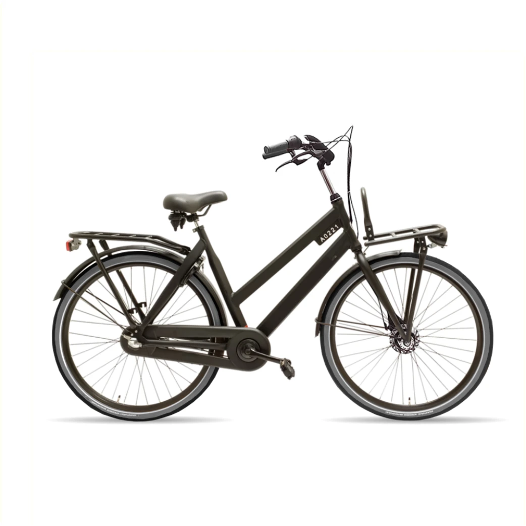 Avalon Style D54cm. Kleur: zwart. Uitvoering: Shimano R3/Remnaaf. Met oa: Aluminium frame, Rodi G13 velgen, zwarte G13 spaken, CST banden, Hesling xcero kettingkast, THUN trapas en crankstel, alu achterdrager,ART slot, inclusief voordrager, Made in Ho... - AE-trading