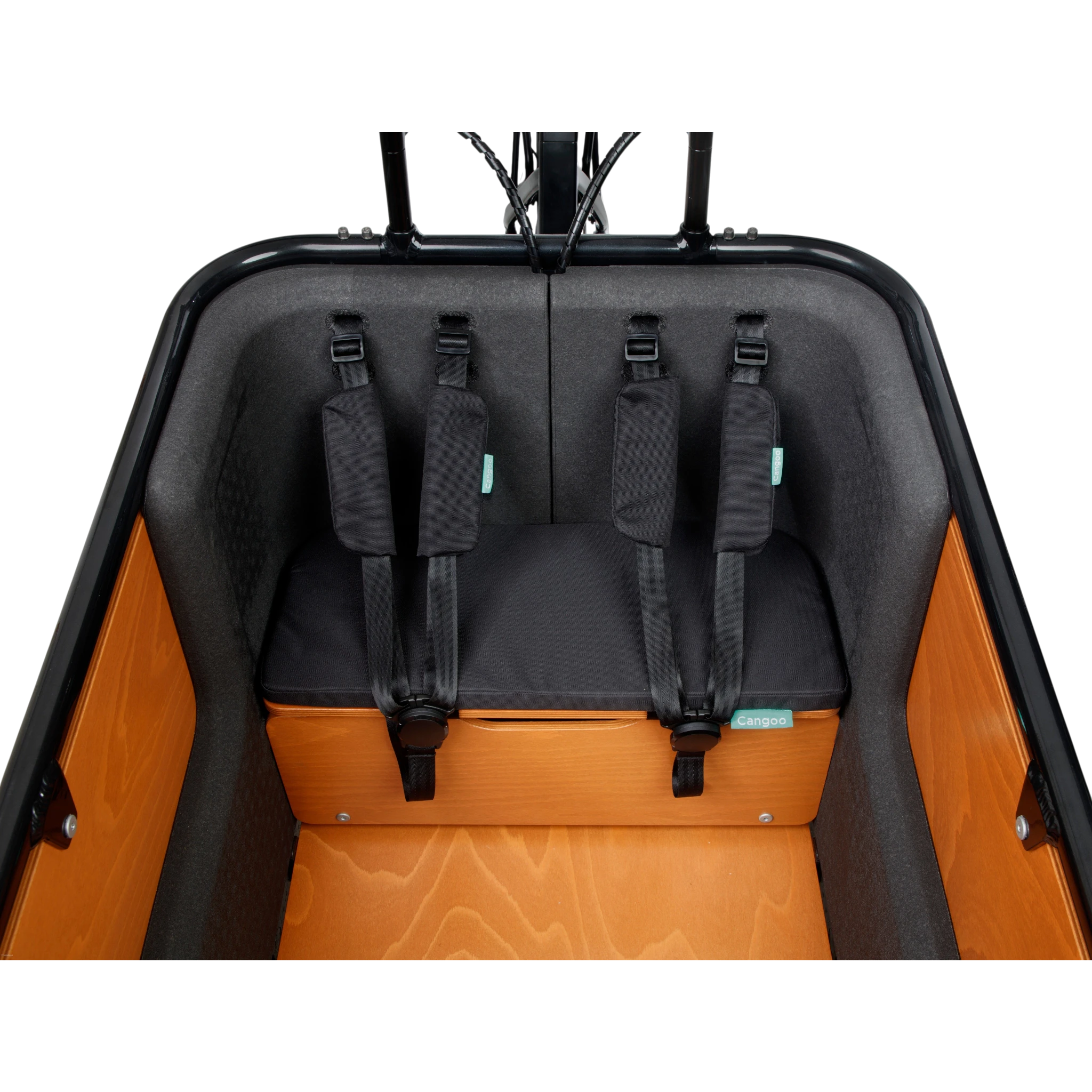 Veiligheidsgordels Cangoo Buckle Up - AE-trading