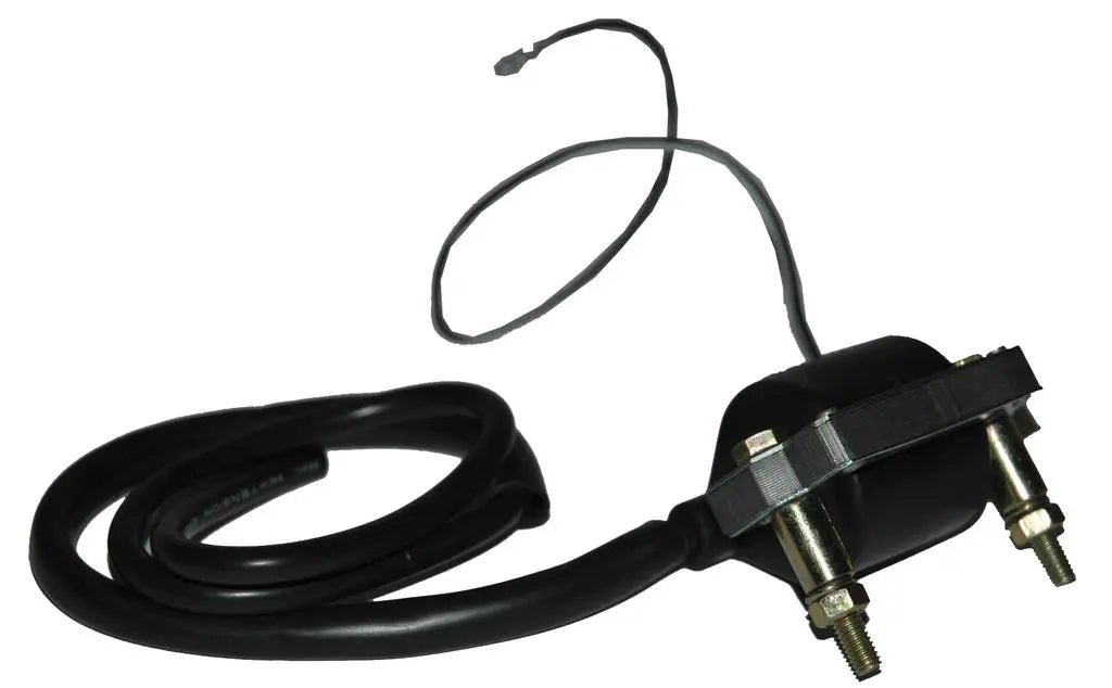 BOBINE YAMAHA FS1-DT - AE-trading