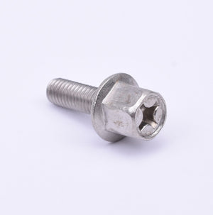 Flensbout Uitlaat RVS M6x25 - AE-trading