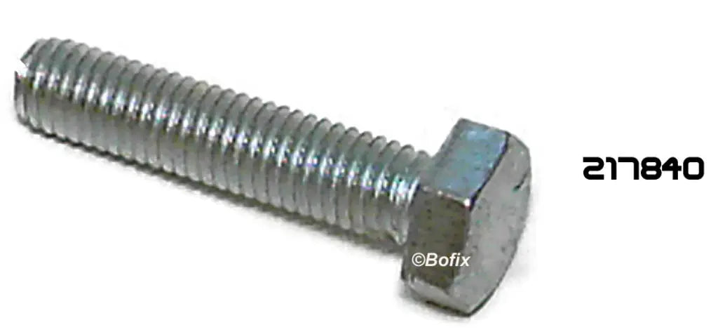 BOUT ZESKANTE KOP M6x70 mm (P.25) - AE-trading