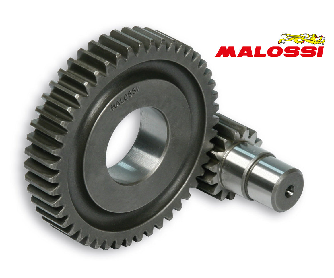 Secundaire Overbrenging Malossi 15/47 | Piaggio 4T 10" - AE-trading