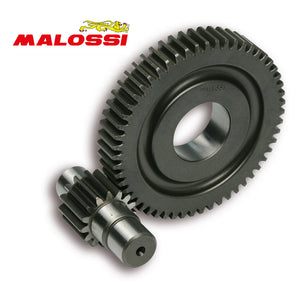 Secundaire Overbrenging Malossi 15/55 | Piaggio 4T 12" - AE-trading