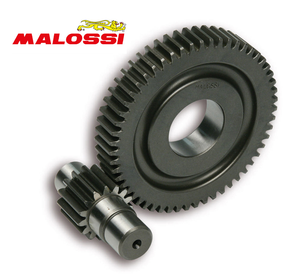 Secundaire Overbrenging Malossi 15/55 | Piaggio 4T 12" - AE-trading