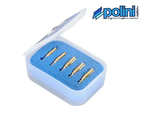 Stationairsproeierset Polini Keihin / PWK - AE-trading
