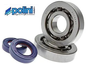 Lagerset Polini | Piaggio 2T - AE-trading