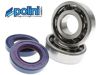 Lagerset Polini | Derbi EBS / D50B0 - AE-trading