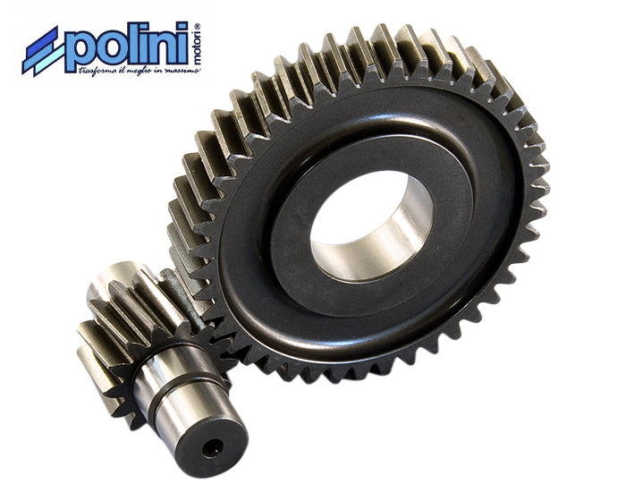 Secundaire Overbrenging Polini 14/43 | Piaggio 4T - AE-trading