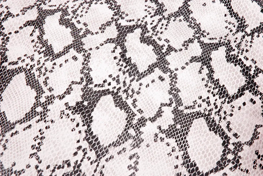 Buddydek Cobra | Peugeot Speedfight 1 / 2 - AE-trading