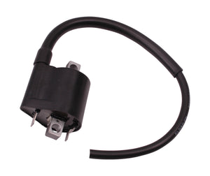 Bobine | Yamaha 4T - AE-trading