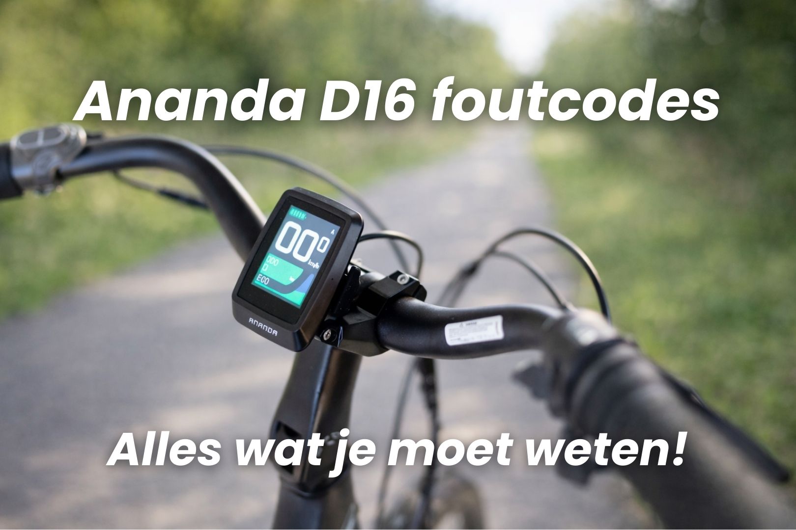 Ananda D16 display foutcodes blog
