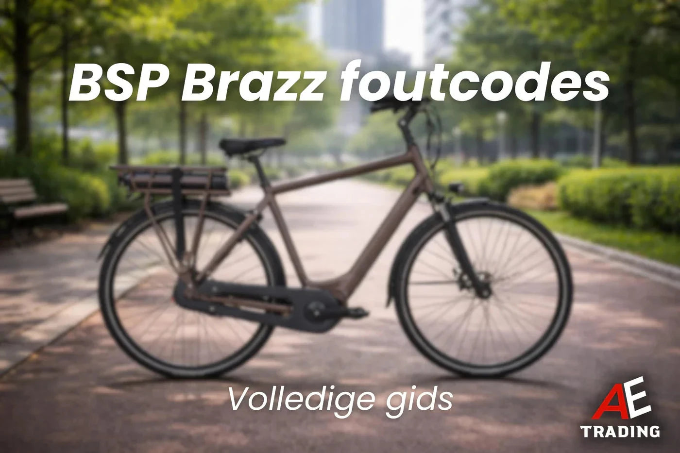 BSP Brazz Men foutcodes blog AE-trading