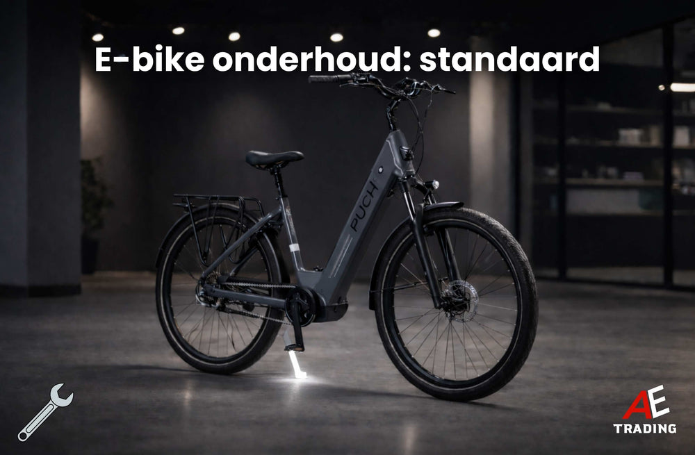 E-bike onderhoud: standaard AE-trading