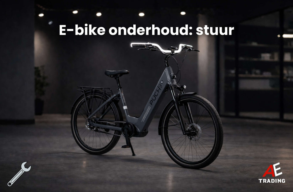E-bike onderhoud: sturen en handvatten AE-trading