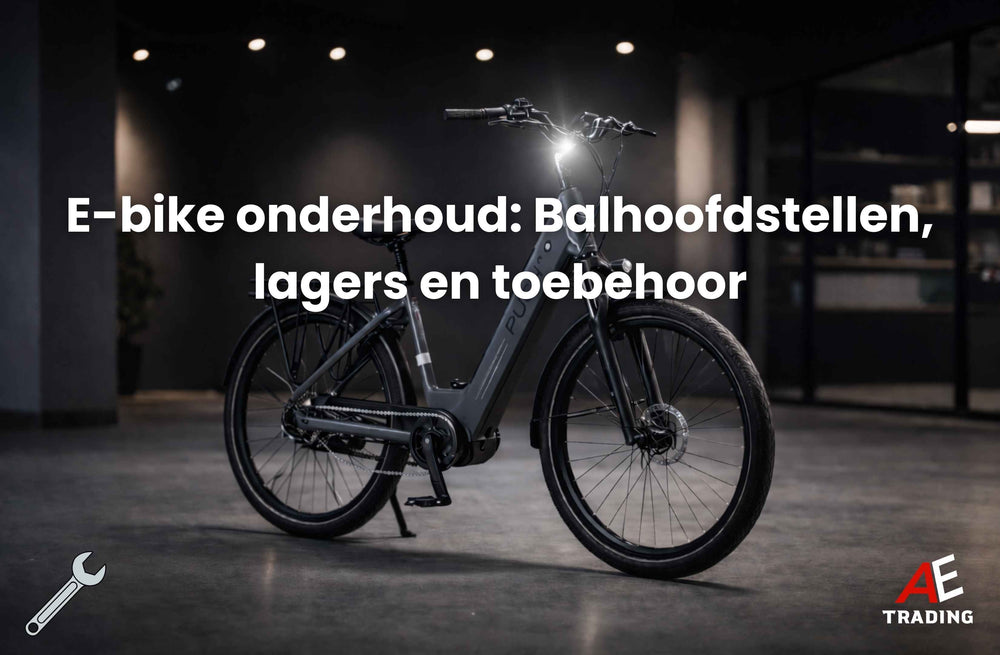 E-bike onderhoud: Balhoofd en lagers AE-trading