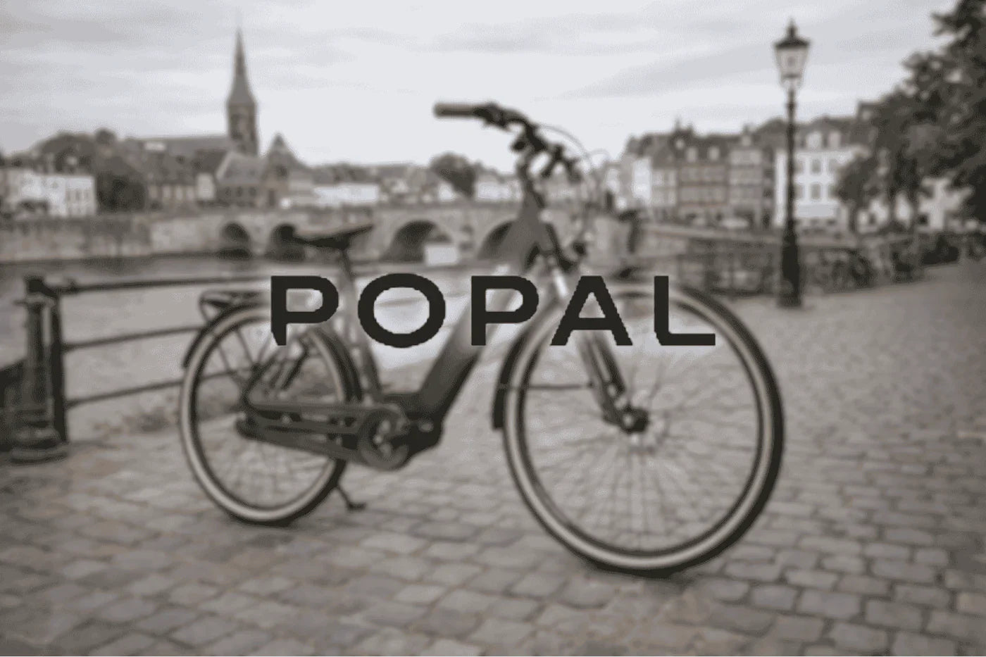 Merken bij AE-trading: Popal