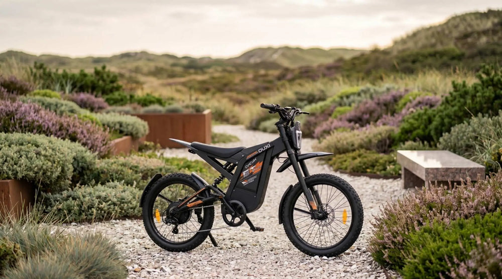 Ontdek de Ouxi GT2000 Skinnybike AE-trading