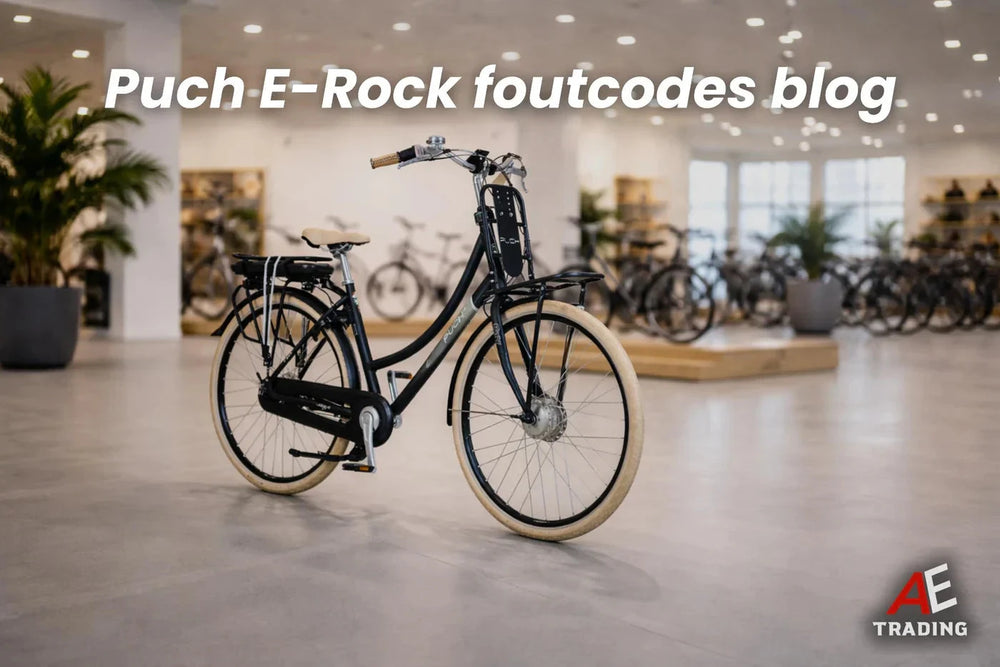 Puch E-Rock foutcodes blog (Ananda D.16 display) AE-trading