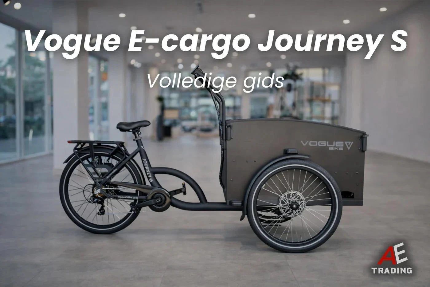 Vogue E-Cargo Journey S Foutcodes blog AE-trading