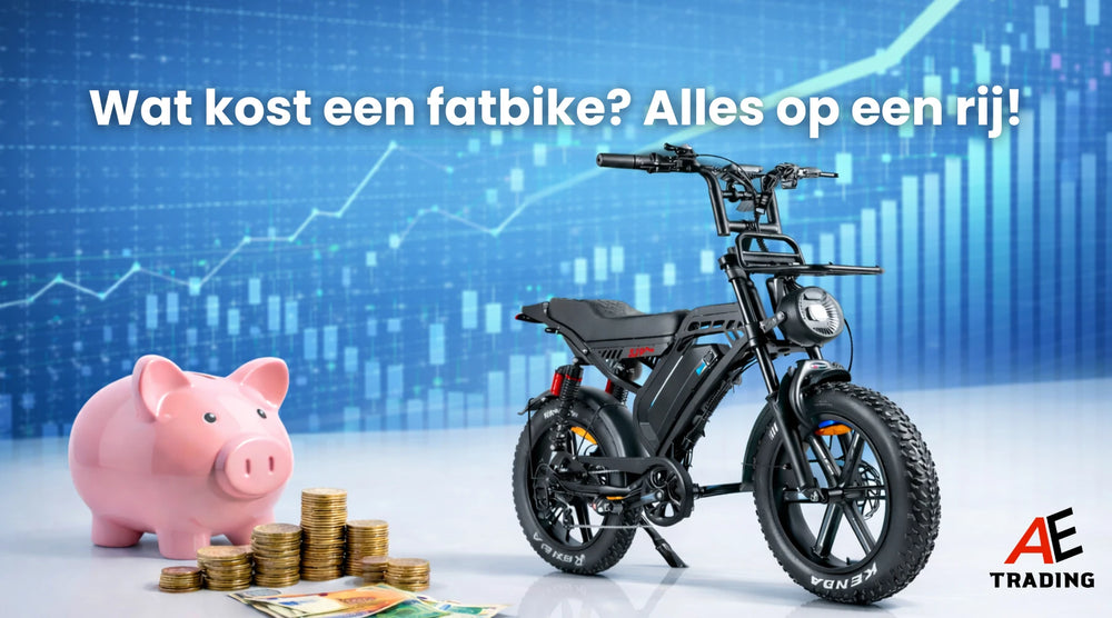 Wat Kost Een Fatbike? Complete Gids over Kosten en Prijzen in 2026 AE-trading