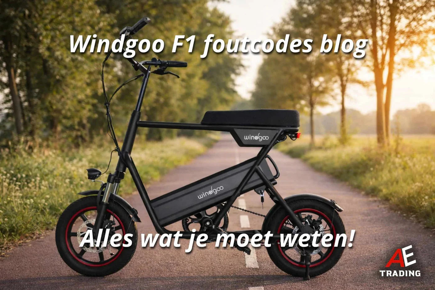 Windgoo F1 foutcodes AE-trading