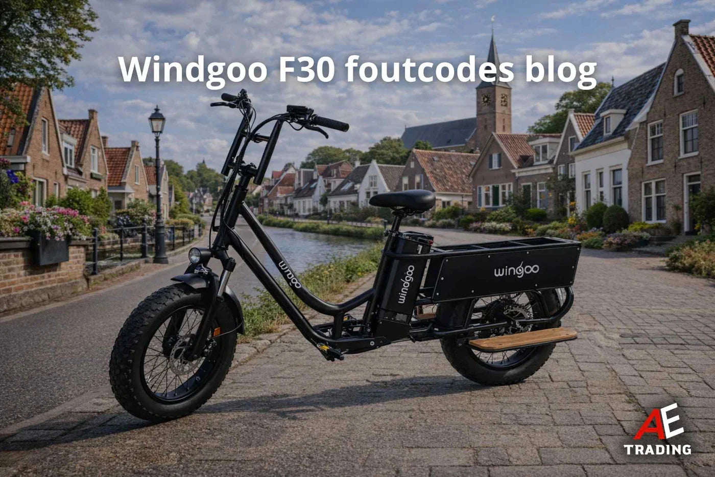 Windgoo F30 Foutcodes blog AE-trading