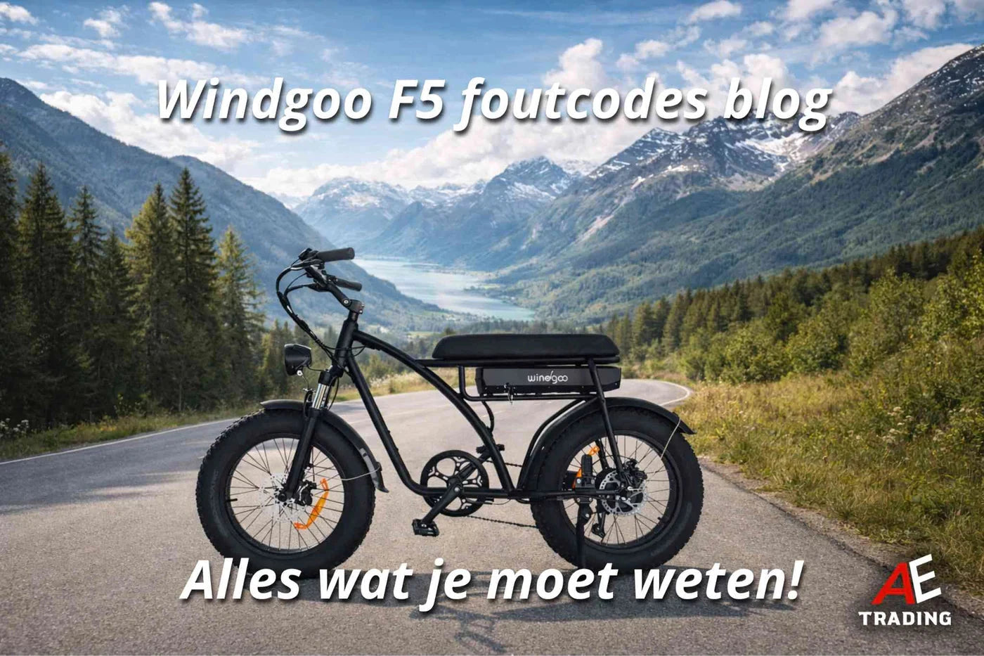 Windgoo F5 foutcodes blog AE-trading