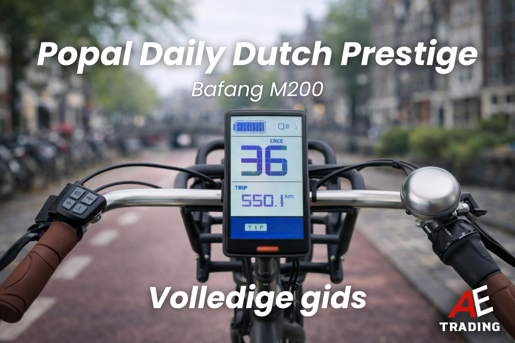 Popal Daily dutch prestige foutcodes blog