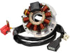 Stator BGM | Piaggio 125 / 180 2T LC - AE-trading