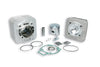 Cilinder + Kop Malossi 65,0mm | Piaggio 2T 125/150 AC - AE-trading