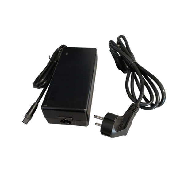 Oplader E-delivery 3-pin stekker (2021 model) - AE-trading