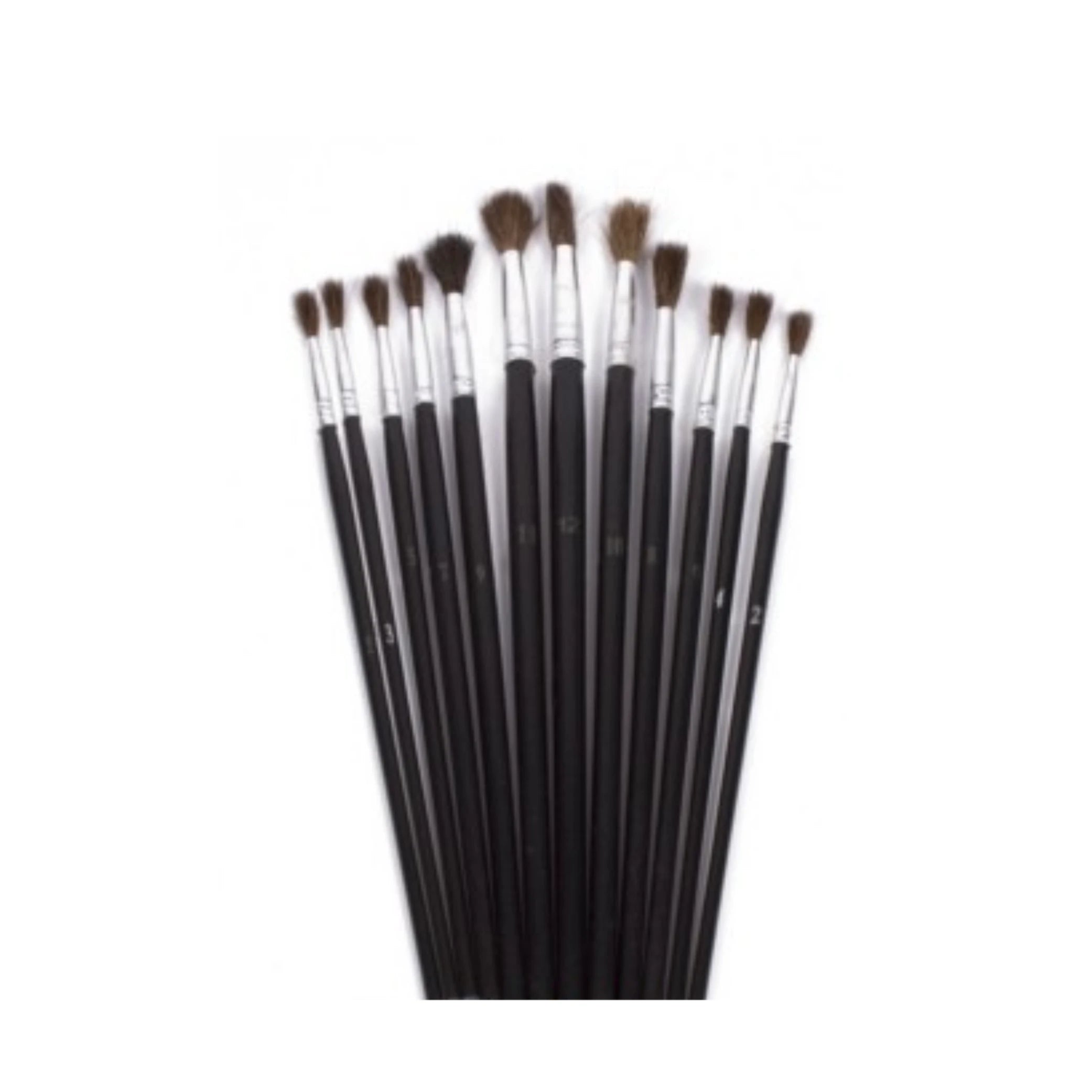 Penseelset 12dlg rond, maat 1 t/m 12 (hangverpakking) - AE-trading