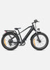 Engwe E26 - Zwart High Step Elektrische Fiets E-Bike Fatbike