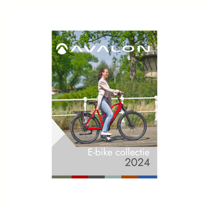 Folder E-bike AE-trading