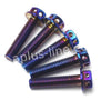 Bout Aplus M6 X30 (10 Stuks) Oil AE-trading