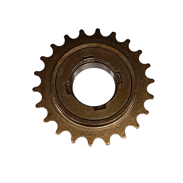 Freewheel 22T Single speed AE trading