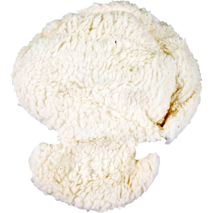 Melia hoofdverkleiner plus 0-9 mnd schaap - AE-trading