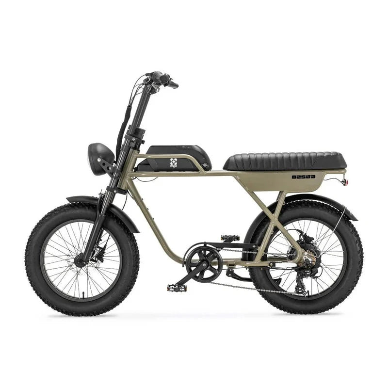 AGM GT250 - Fatbike - 12.8Ah - Groen - Hydraulische remmen