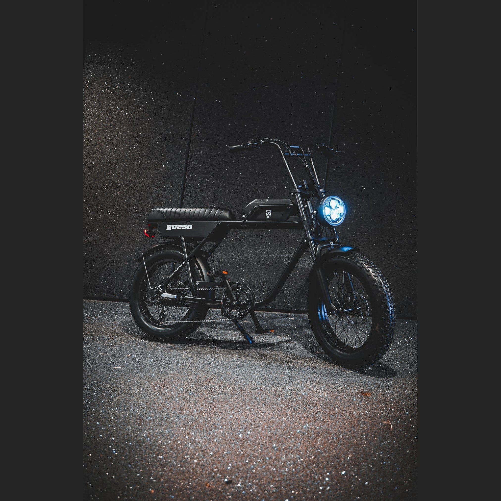 AGM GT250 - Fatbike - 12.8Ah - Zwart - Hydraulische remmen - AE-trading