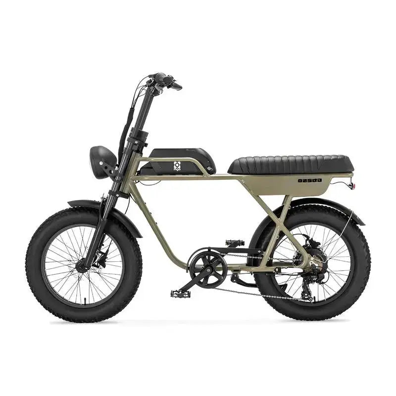 AGM GT250 Fatbike - Groen - 12.8Ah - AE-trading