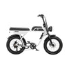 AGM GT250 Fatbike - Wit - 12.8Ah - AE-trading