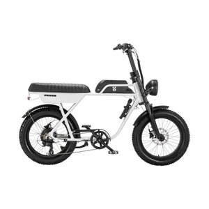 AGM GT250 Fatbike - Wit - 12.8Ah - AE-trading