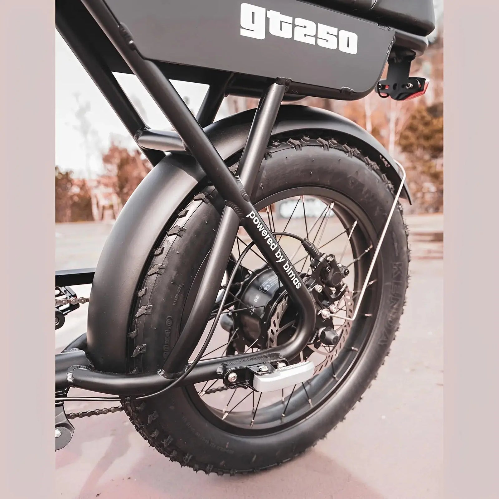 AGM GT250 Fatbike - Zwart - 12.8Ah - AE-trading
