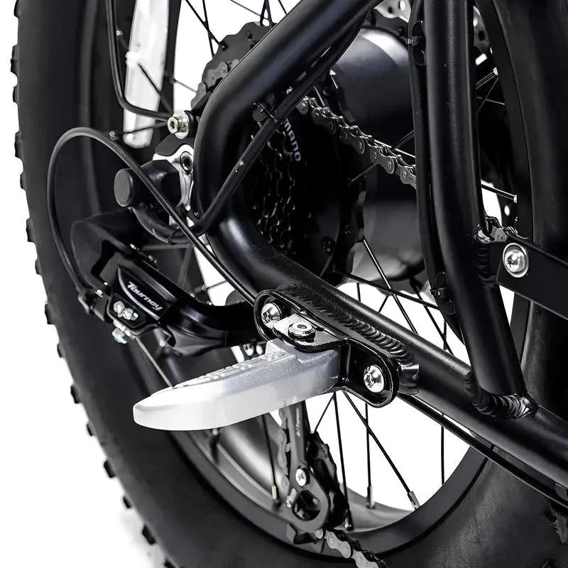 AGM GT250 - Fatbike - 12.8Ah - Groen - Hydraulische remmen - AE-trading