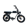 AGM GT250 Fatbike - Zwart - 12.8Ah - AE-trading