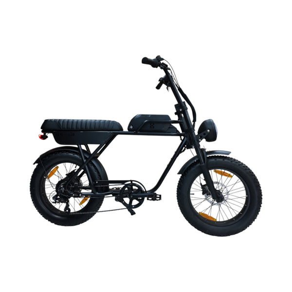 AGM GT250 Fatbike - Zwart - 12.8Ah - AE-trading
