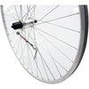 Roland achterwiel 28 x 1 uitval cass 9v Race zilver RVS spk - AE-trading